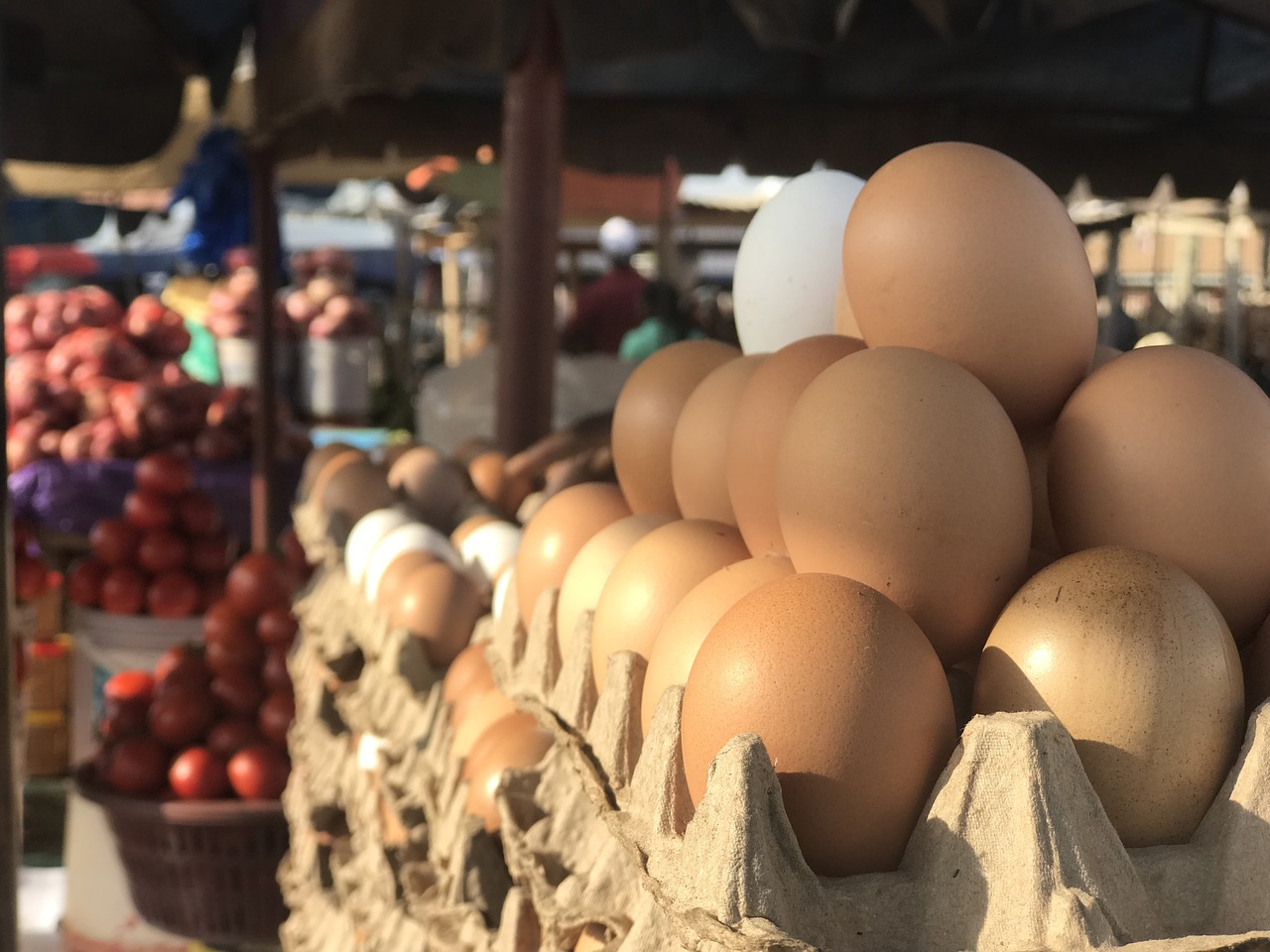 Где Можно Купить Дешевые Яйца