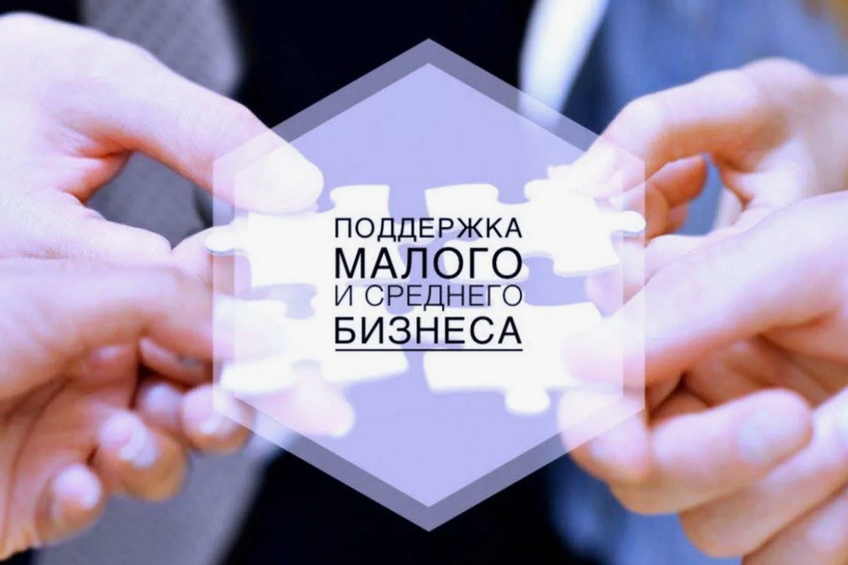 Около 1600 представителей бизнеса Ставрополя получили информационную поддержку Городского центра предпринимательства