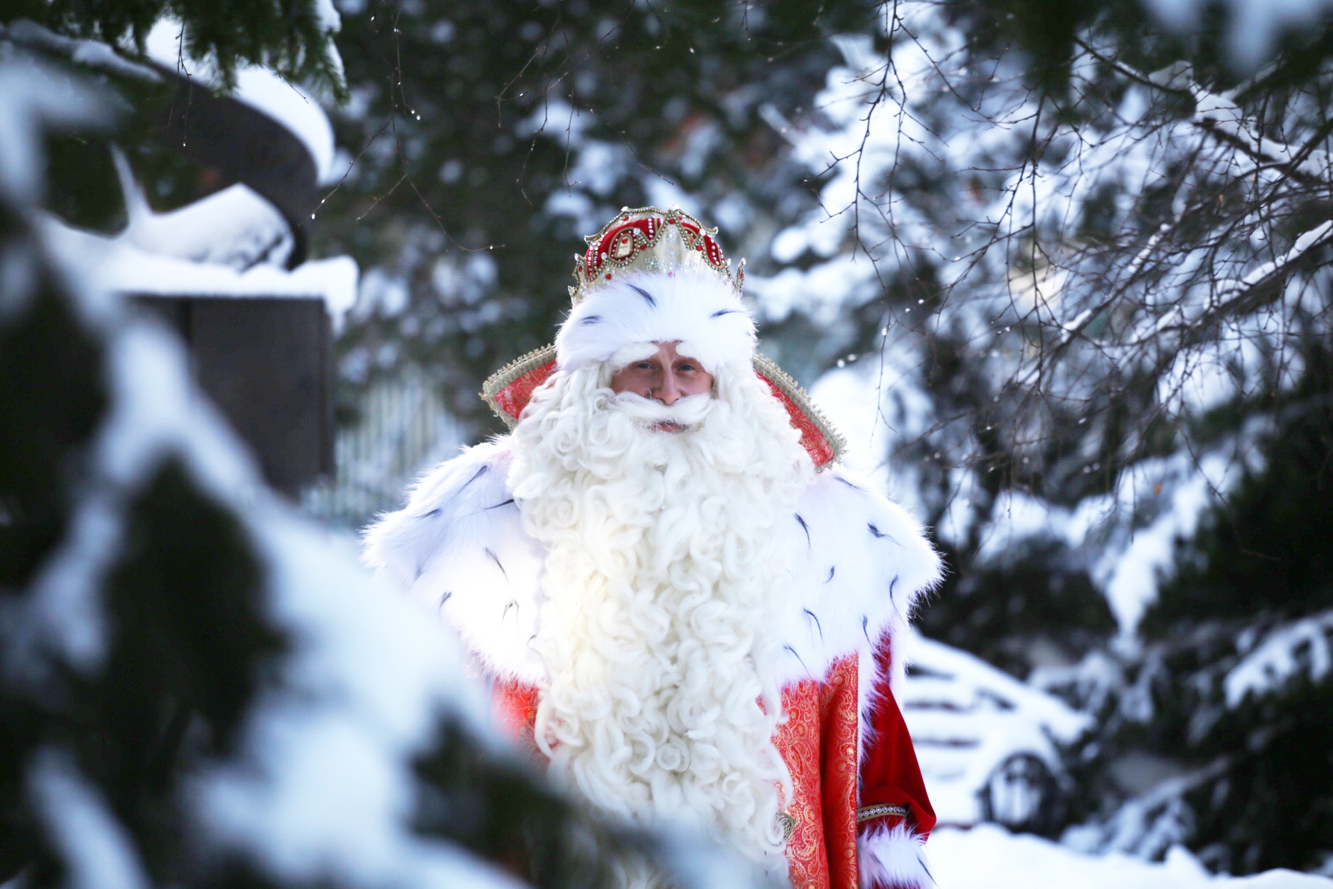 Дед мороз 2024 года. Дед Мороз. Российский дед Мороз. Настоящий дед Мороз. Ded MRORZ.